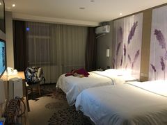 -麗枫酒店(西安大明宫龙首原地铁站店)