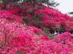 -木兰云雾山