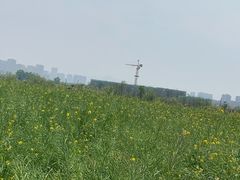 -西海岸生态观光园