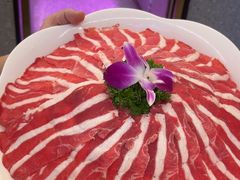 -古乐牛香•鲜牛肉牛杂火锅(系马桩总店)