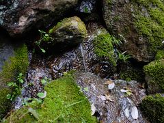 -藏龙百瀑风景区