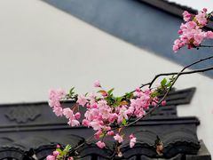 -莫愁湖公园