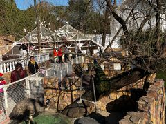 -J Create城市露营咖啡·简餐·宠物(上海动物园店)