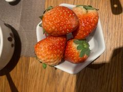 -酒井酱子·深夜食堂(东城汇店)