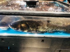 -盒马鲜生(曜一城店)