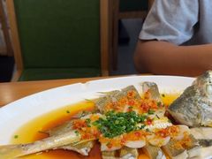 -大鸽饭(马王堆店)