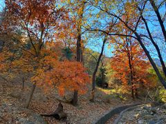 -北京鹫峰国家森林公园
