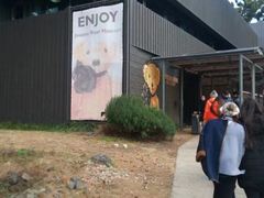 -济州岛泰迪熊博物馆