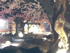 -蓝鲸湾汤泉(包河店)