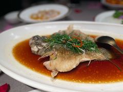 -福玺荟(外滩罗斯福店)