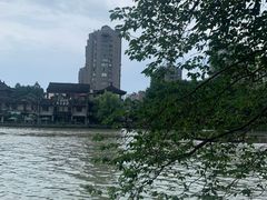 -运河游船(武林门码头)