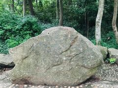 -上海佘山国家森林公园天马山园