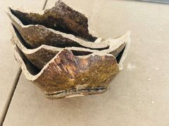 -定窑考古遗址公园