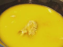-鲜入围煮花胶鸡海鲜火锅