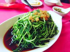 -田园小观园(武大店)