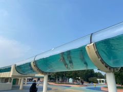 -秦皇岛乐岛海洋王国