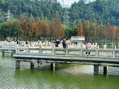 -顺峰山公园