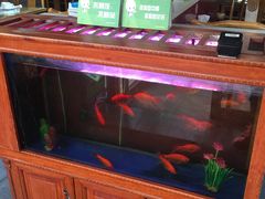 -粥公粥婆精品家常菜(青龙桥店)