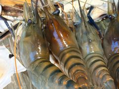 -Thai Basil罗勒叶泰式餐厅(时代天街店)