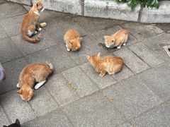 -晓港公园