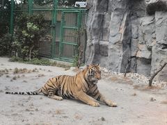 -上海野生动物园