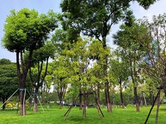 -后襄河公园