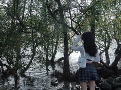 -宝安西湾红树林湿地公园