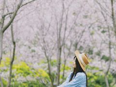 -堤角公园