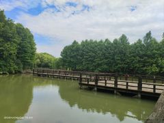 -苏州太湖国家湿地公园