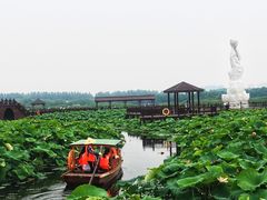 -荷塘月色湿地公园·向阳花洲