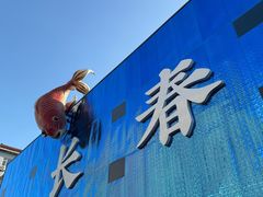 -张氏鱼庄