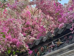 -深圳国际园林花卉博览园