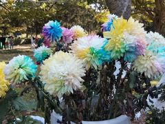 -小八仙·宴(三峡茶庄店)