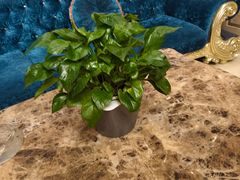 -水丽汇休闲浴馆(香坊店)