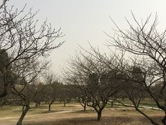 -泸州酸菜豆花火锅川师店