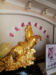 -香薇妮丝女子减肥院
