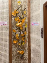 -芳朵美容养生SPA