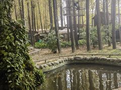 -林间山庄