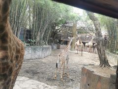 -长鹿旅游休博园
