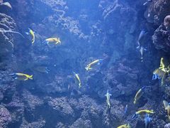 -海合安青岛极地海洋公园