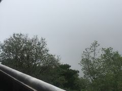 -妙峰山风景名胜区