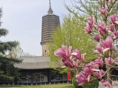 -广佑寺风景区