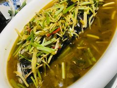 -雲蜀龙阁·金牌水煮鱼(方庄店)