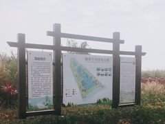-芒洲湿地公园