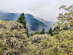 -舒家湾天主教堂