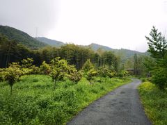 -天下银坑