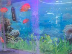 -雅悦齿科(顾村公园店)