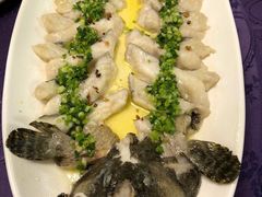 WT清蒸小龙趸-惠食佳·朱雀(东方商厦店)