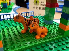 -卡巴机器人编程·少儿编程·信息学竞赛(公益西桥校区)