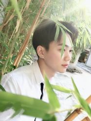 -TSO 慕尚·微潮派